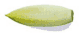 endive