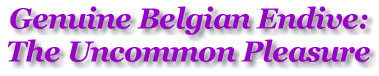 Genuine Belgian Endive